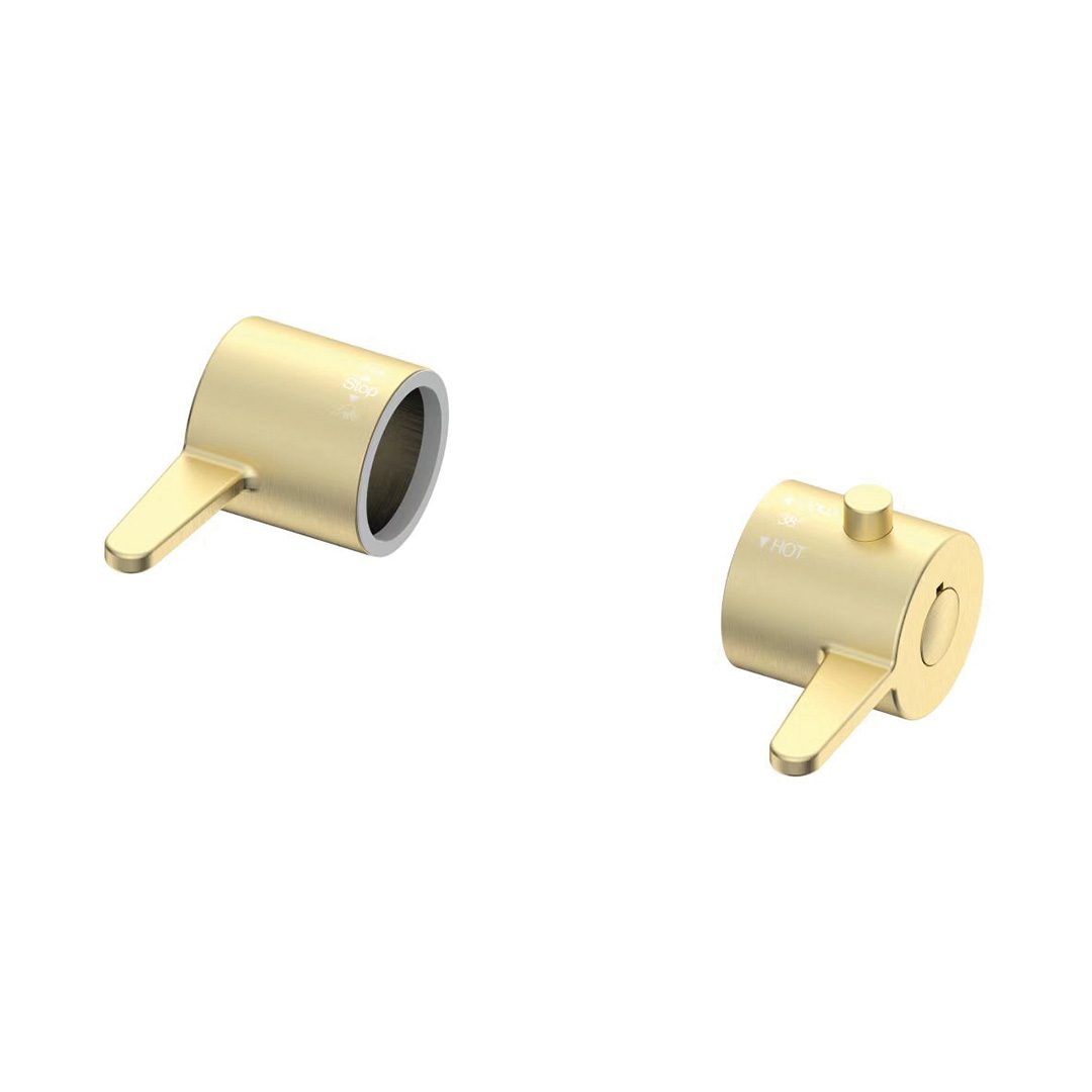 Elegant Haven Lever Brushed Brass Handles For Spey Shower Kit 13