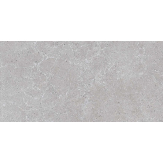 Houston Matt Grey Porcelain Tile 600x298mm