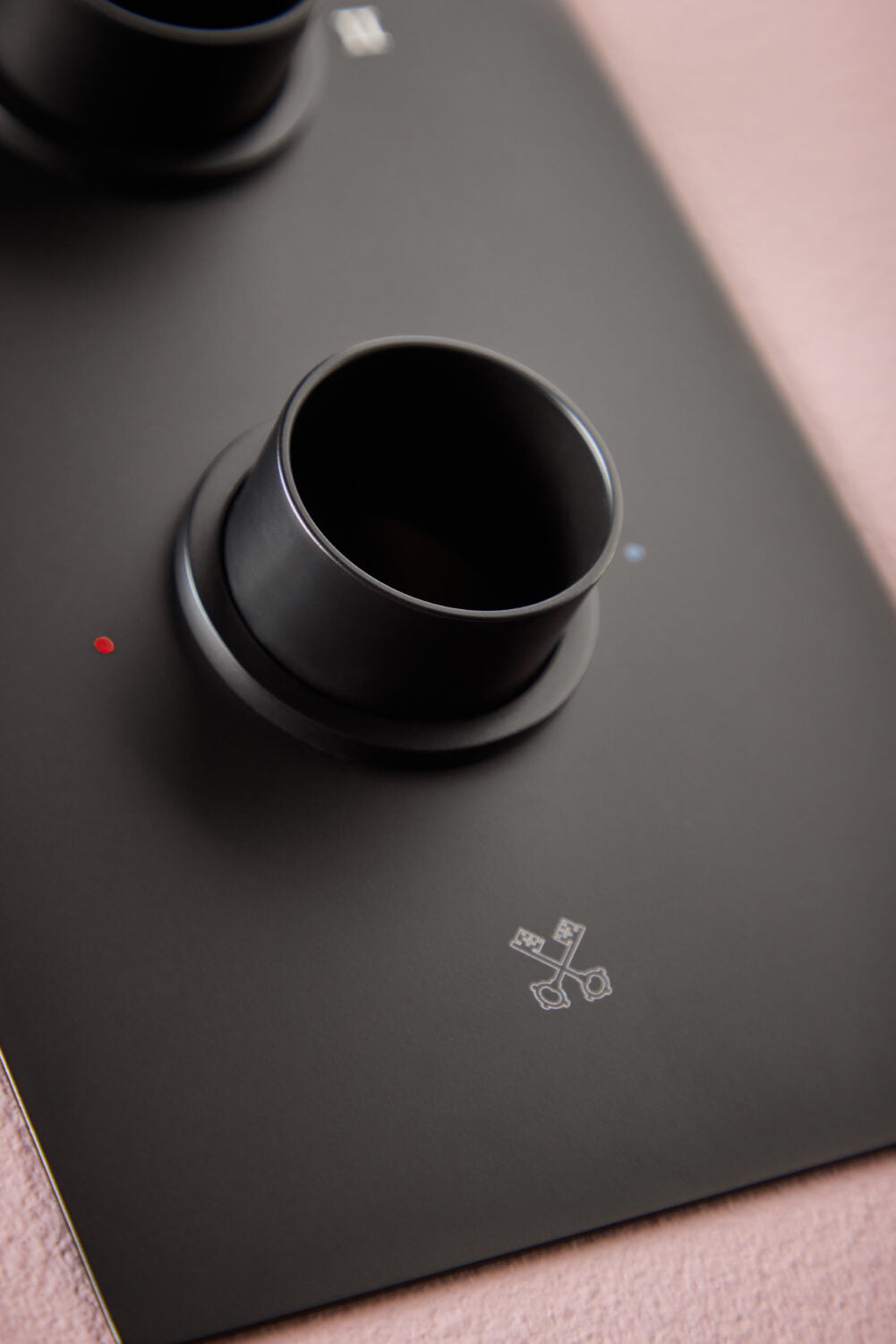 Concealed Plate with Sleeves (2 Outlet) Matte Black