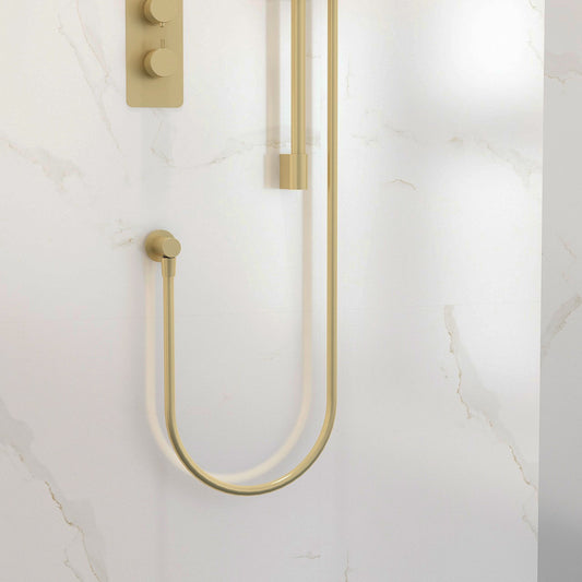 Design Brushed Brass Smooth Shower Hose 1.5m