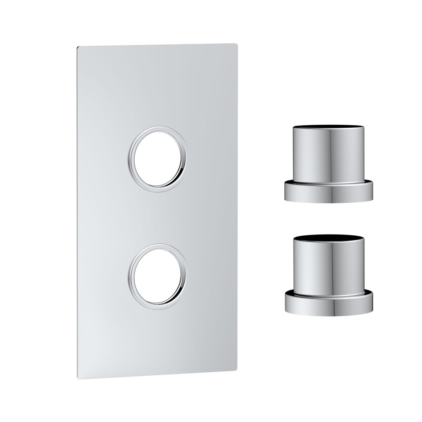 Concealed Plate with Sleeves (2 Outlet) Chrome