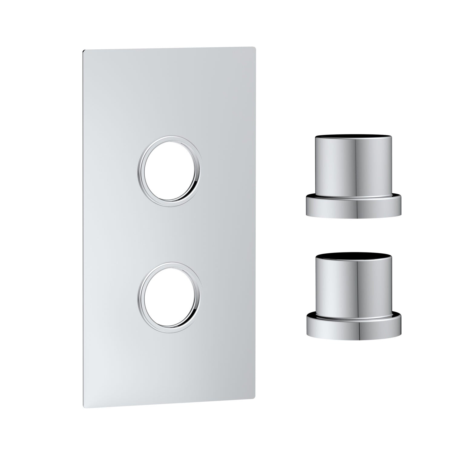 Concealed Plate with Sleeves (2 Outlet) Chrome