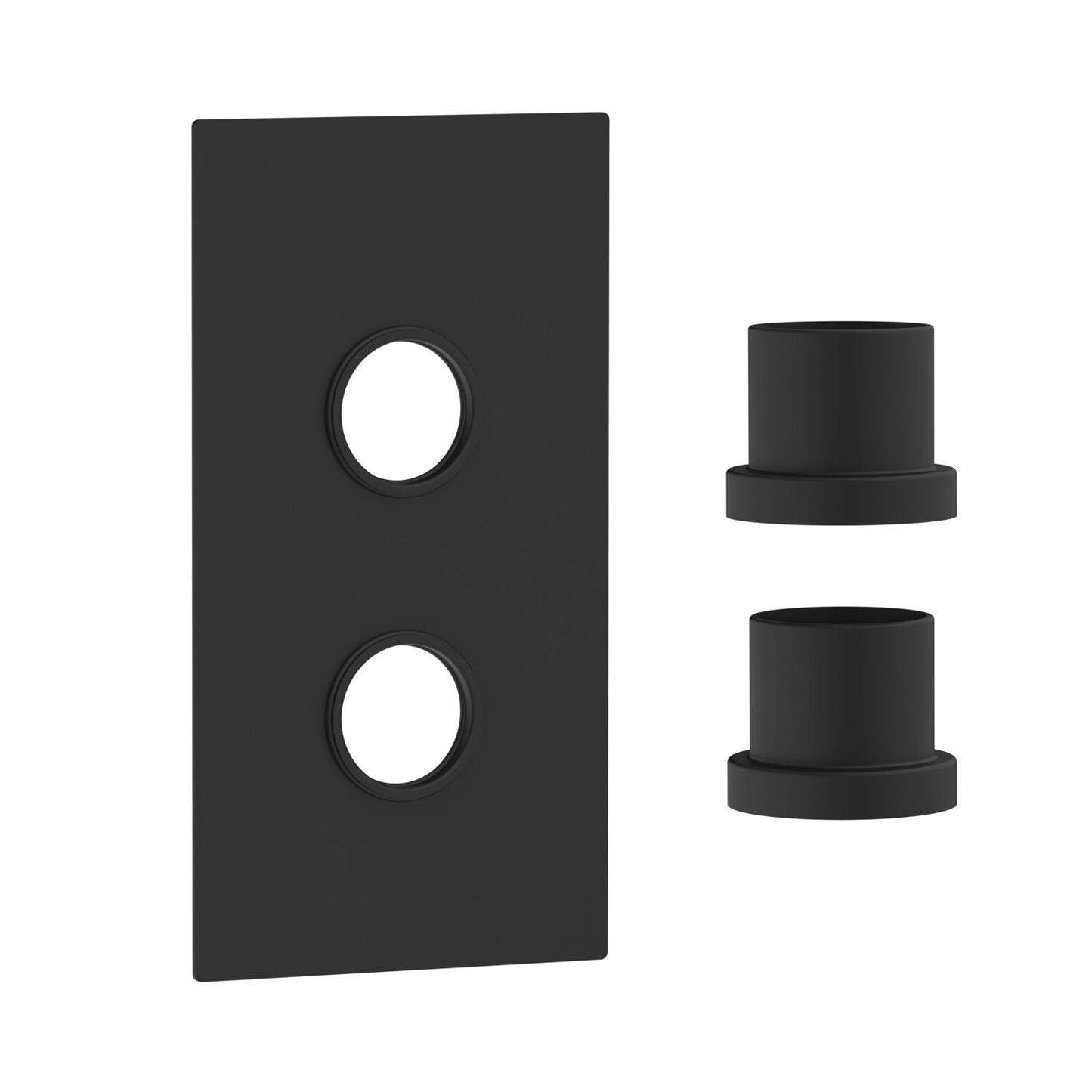 Concealed Plate with Sleeves (2 Outlet) Matte Black
