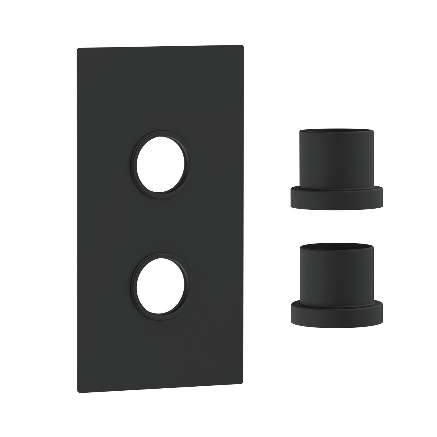 Concealed Plate with Sleeves (2 Outlet) Matte Black