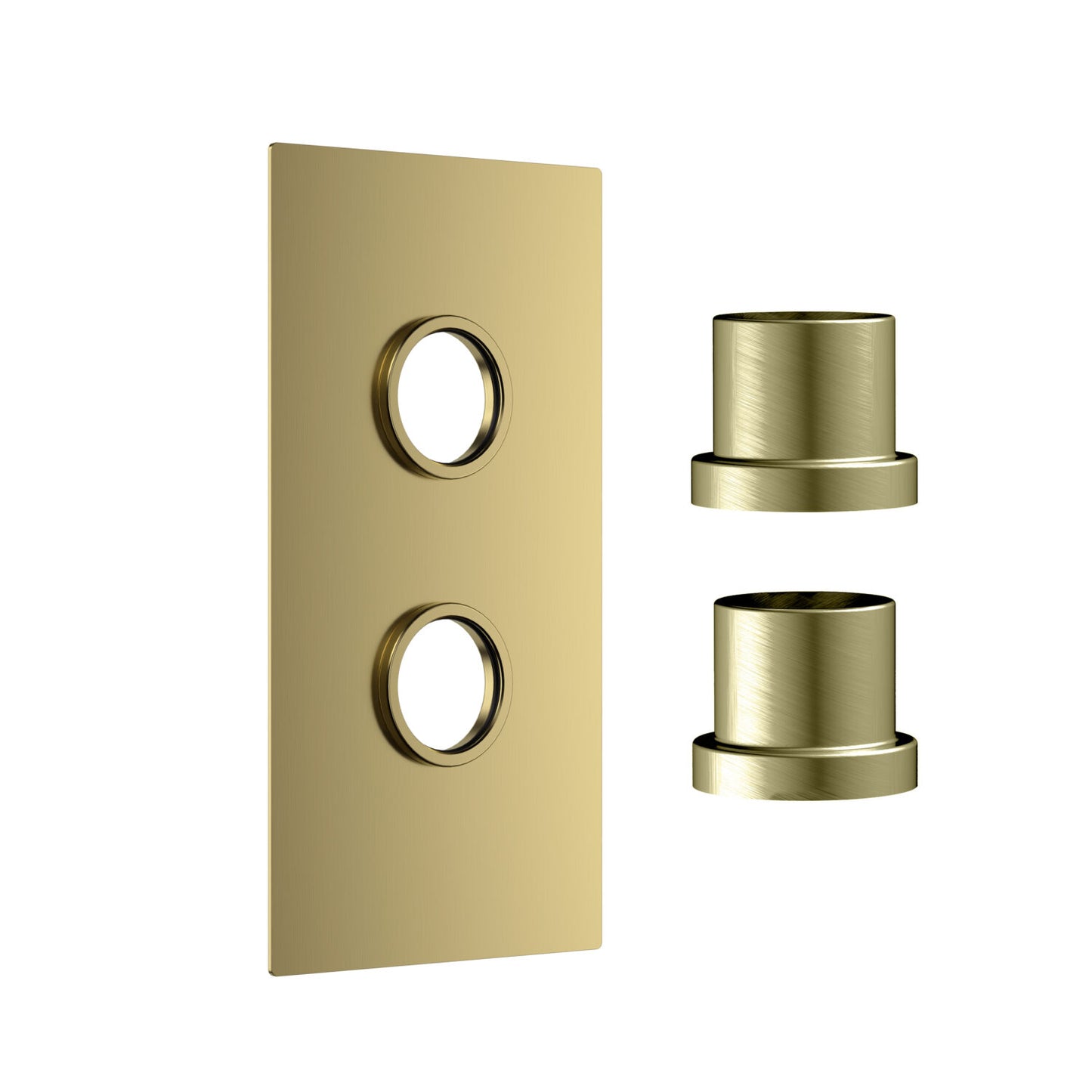 Concealed Plate with Sleeves (2 Outlet) Brushed Brass
