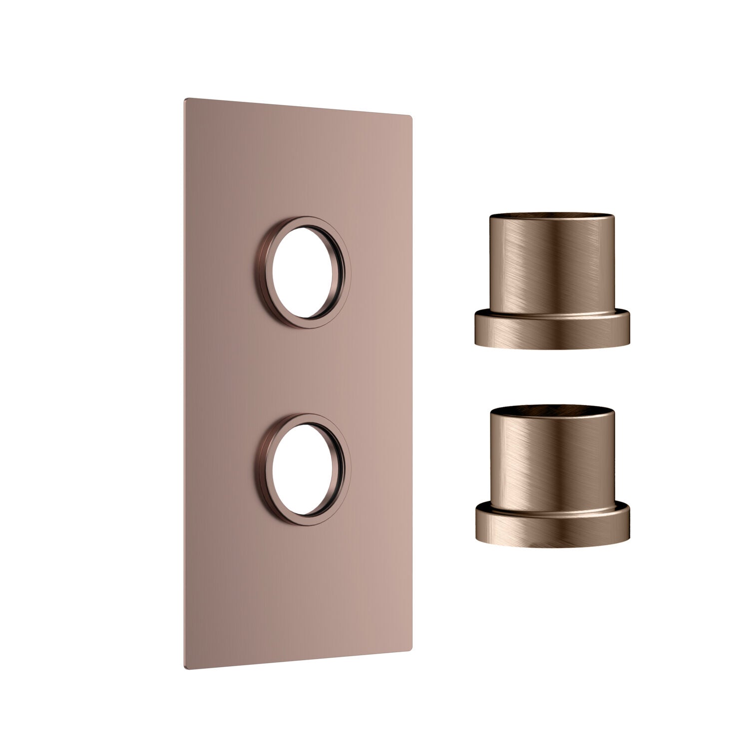 Concealed Plate with Sleeves (2 Outlet) Brushed Bronze