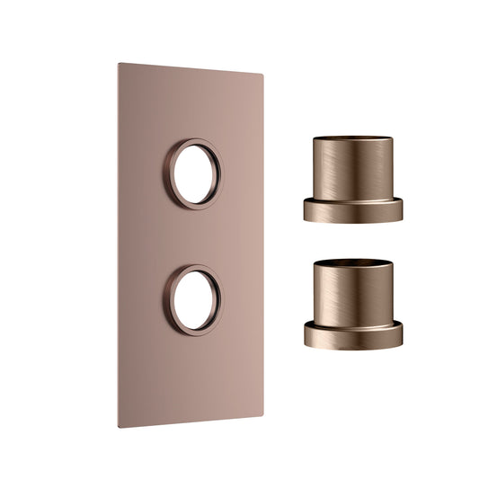 Concealed Plate with Sleeves (2 Outlet) Brushed Bronze