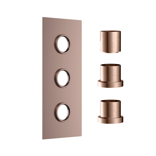 Concealed Plate with Sleeves (3 Outlet) Brushed Bronze
