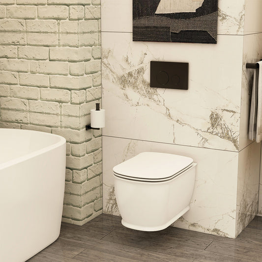 Liberty 540mm Wall Hung Rimless pan