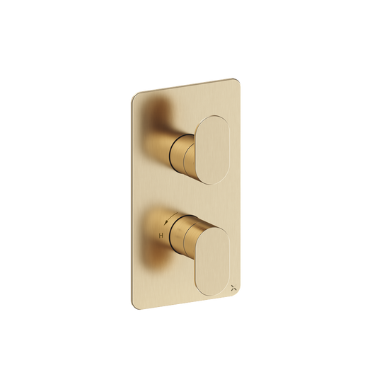 Drift 1 Outlet 2 Handle Shower Valve