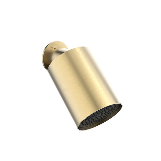 Single Mode Revive Showerhead