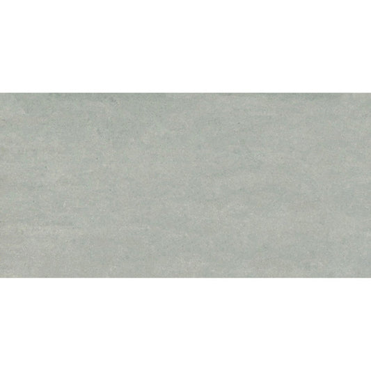Monarch Mid Grey Gloss Tile 300x600mm
