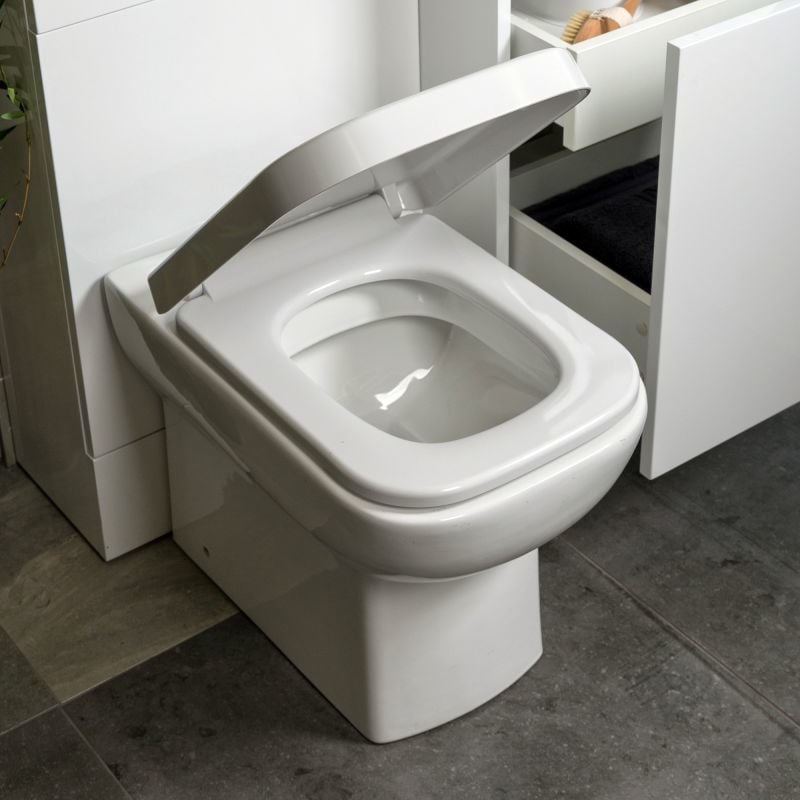 Alfrick Back To Wall Toilet with Soft Close Wrap Over Seat