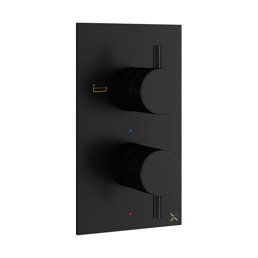 MPRO 2 Outlet 2 Handle Concealed Thermostatic Bath Shower Valve