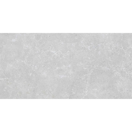 Houston Matt Grey Porcelain Tile 1200x600mm